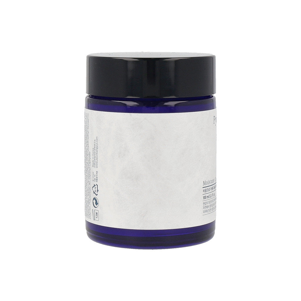 Pyunkang Yul Moisture Cream 100ml