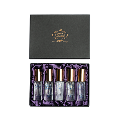 Salon de Nevaeh Gold Travel Kit