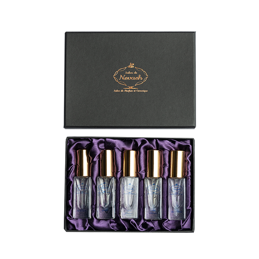 Salon de Nevaeh Gold Travel Kit