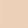 espoir Pro Tailor Be Velvet Cover Cushion 13g *2ea Original + Refill - Ivory
