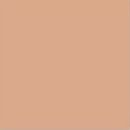 espoir Pro Tailor Be Velvet Cover Cushion 13g *2ea Original + Refill - Tan