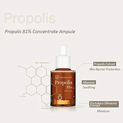 9wishes Propolis 81% Ampule 30ml - KLO