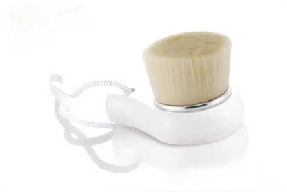 SWANICOCO Pore Brush - DODOSKIN