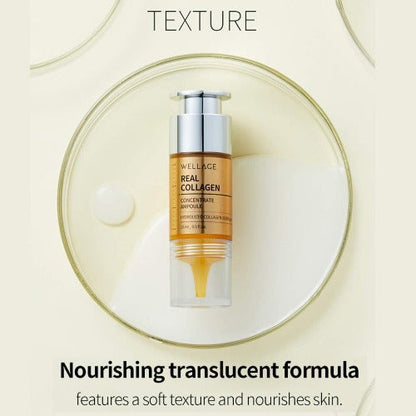 WELLAGE Real Collagen Concentrate Ampoule 15ml - DODOSKIN